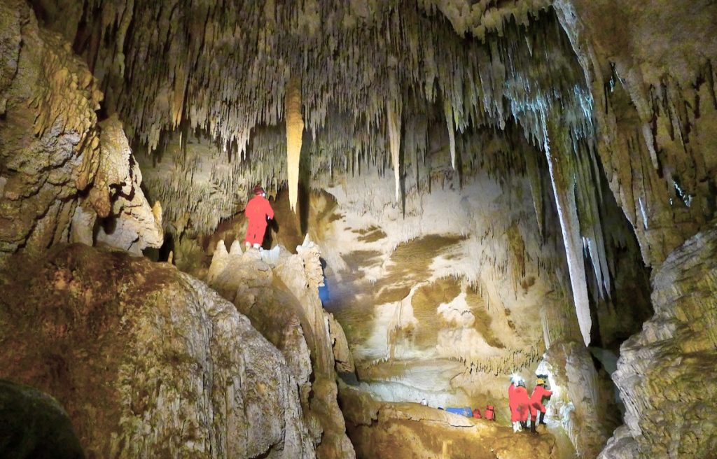 In the Waipuna Cave.