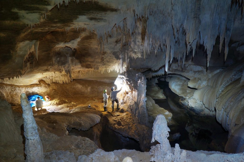 Sampling in the Waipuna Cave.